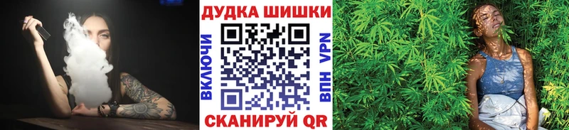 Какие есть наркотики Петровск APVP  Каннабис  Амфетамин  Галлюциногенные грибы  МЕТАДОН  КОКАИН 