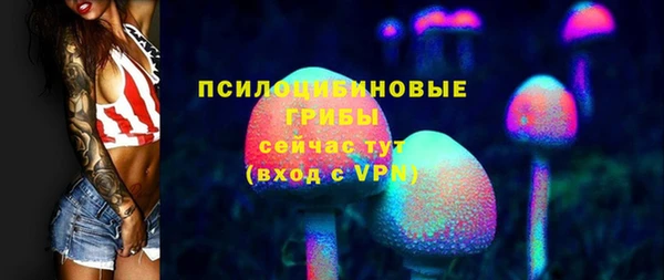 винт Новозыбков