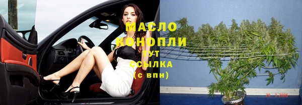 винт Новозыбков