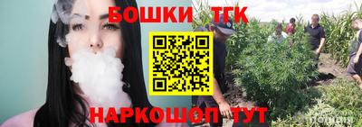тгк Гай