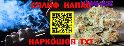 тгк Гай