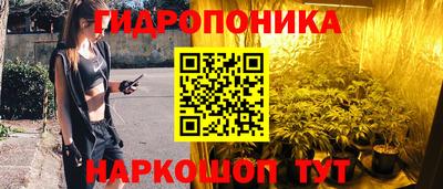 тгк Гай