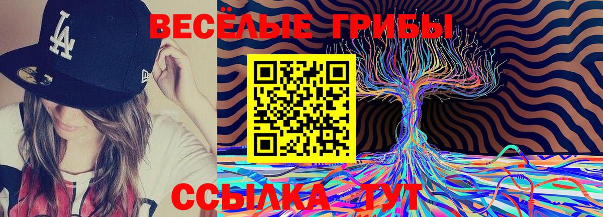 Псилоцибиновые грибы Петровск