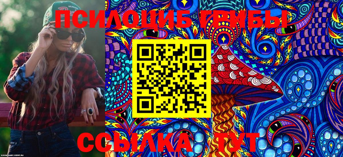 купить   Псилоцибиновые грибы Cubensis  Вход с VPN  Псилоцибиновые грибы MAGIC MUSHROOMS  Петровск 